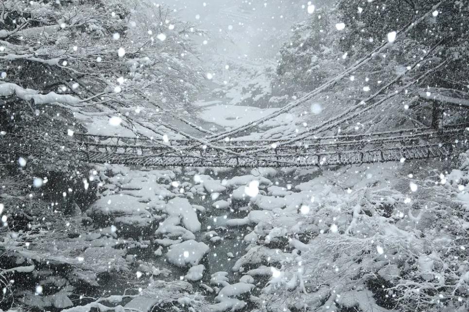 四国冬日秘境温泉六日游｜祖谷蔓桥・仁淀川蓝・道后温泉经典路线